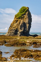 C 072623 R5-8