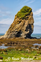 C 072623 R5-14