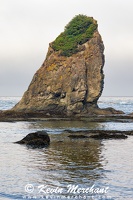 C 072723 R5-4