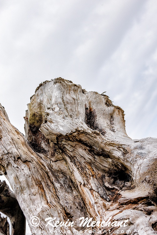 C_072623_R5-3.jpg