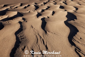 NP 041624 R5-25-FOCUS