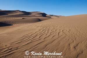 NP 041624 R5-39-FOCUS