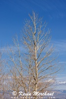PL 042024 R5-23