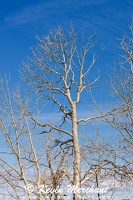 PL 042024 R5-3