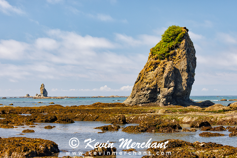 C_072623_R5-5.jpg