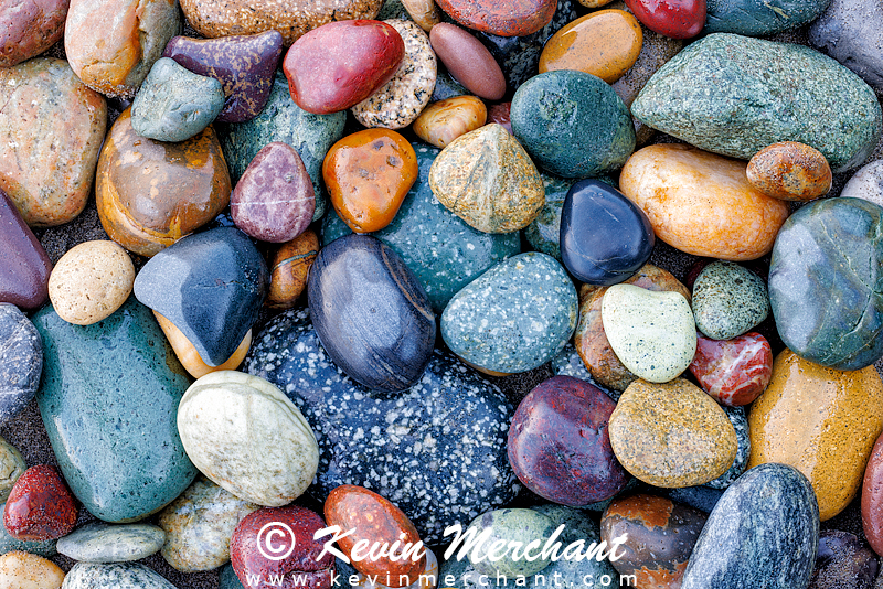 C_072723_R5-52-Focus.jpg