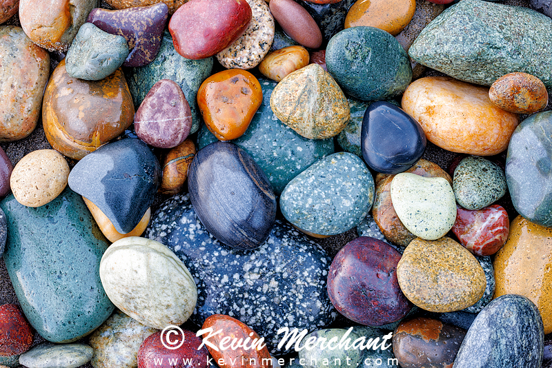 C_072723_R5-58-Focus.jpg