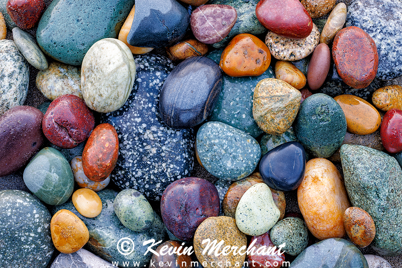 C_072723_R5-65-Focus.jpg