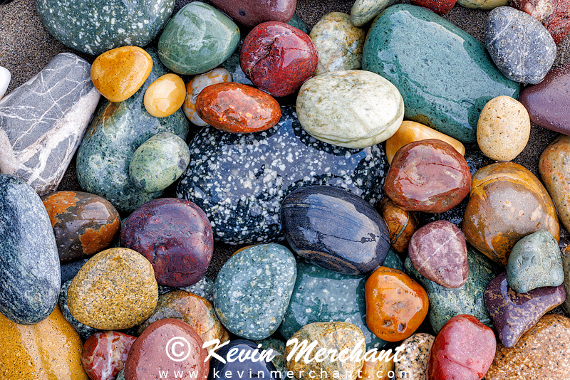 C_072723_R5-82-Focus.jpg