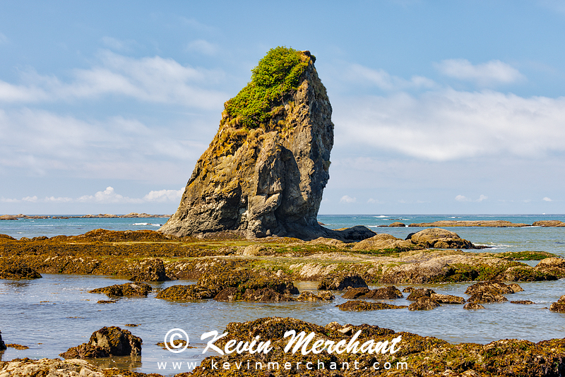 C_072623_R5-6.jpg