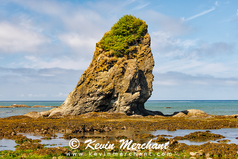 C_072623_R5-12.jpg