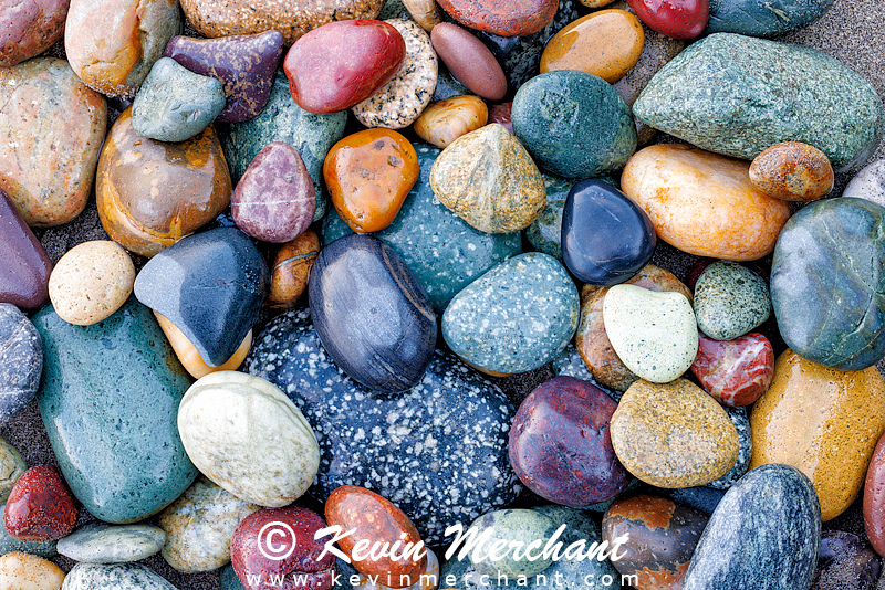 C_072723_R5-46-Focus.jpg