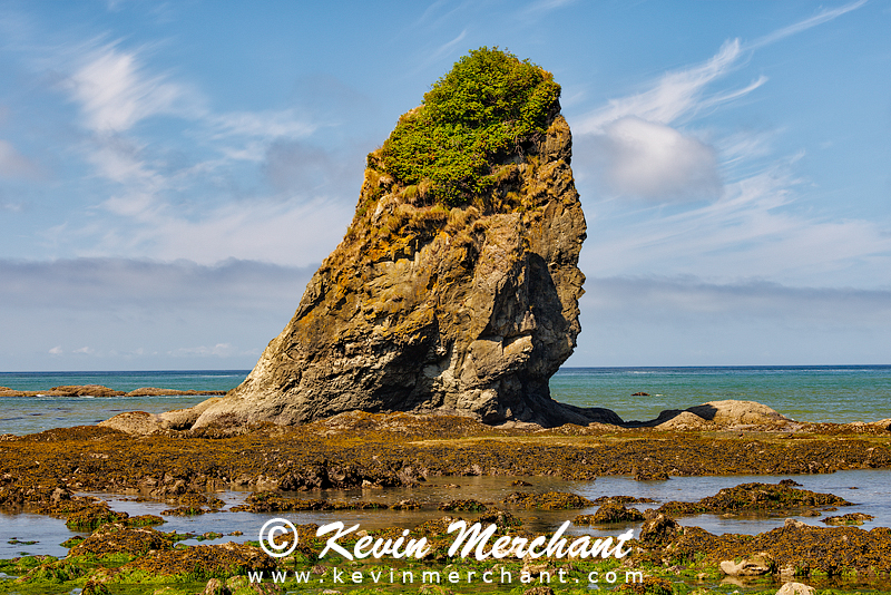 C_072623_R5-16.jpg