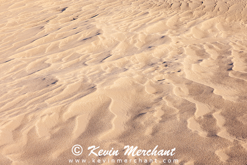 NP_041824_R5-137-FOCUS.jpg