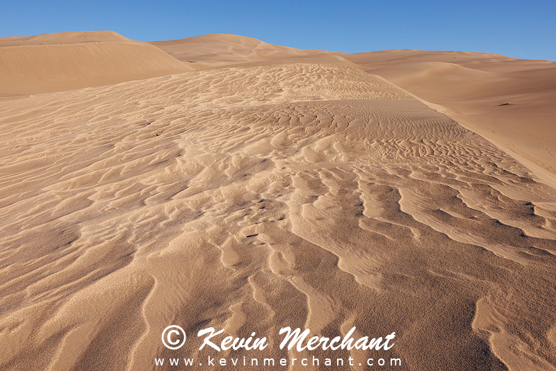 NP_041824_R5-168-FOCUS.jpg