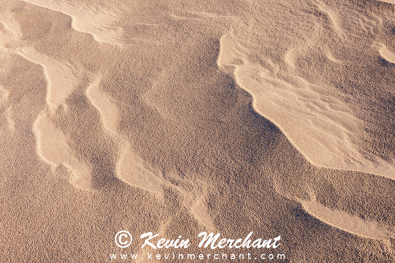 NP_041824_R5-172-FOCUS.jpg