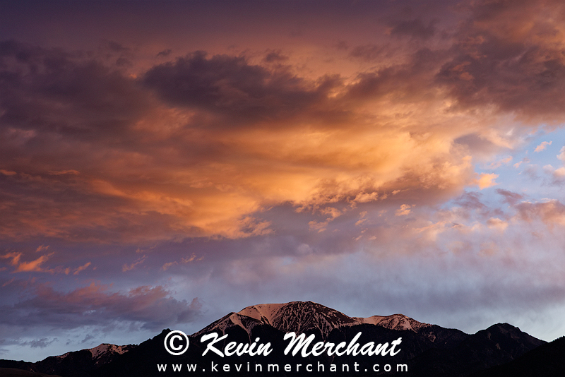 NP_041924_R5-2.jpg