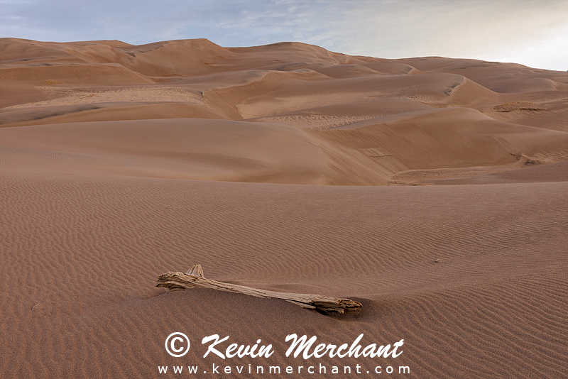 NP_041924_R5-32-FOCUS.jpg