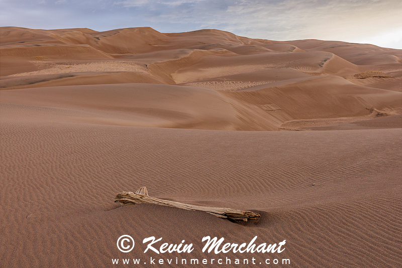 NP_041924_R5-40-FOCUS.jpg