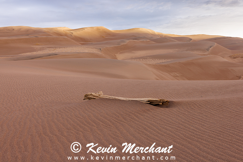 NP_041924_R5-96-FOCUS.jpg