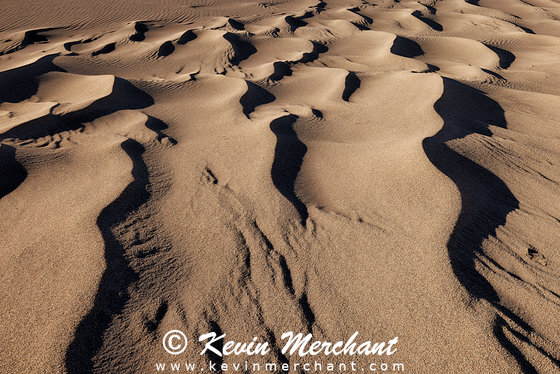 NP_041624_R5-25-FOCUS.jpg