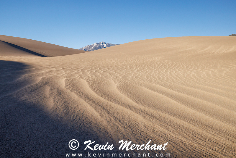 NP_041624_R5-51-FOCUS.jpg