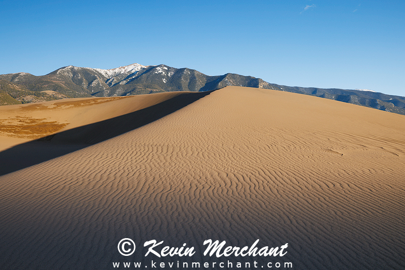 NP_041624_R5-87-FOCUS.jpg