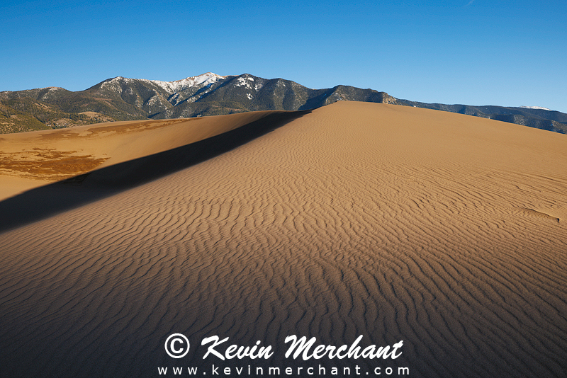 NP_041624_R5-95-FOCUS.jpg