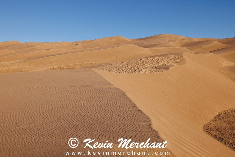 NP_041824_R5-32-FOCUS.jpg