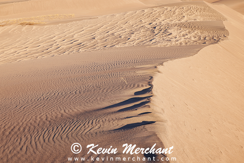 NP_041824_R5-83-FOCUS.jpg