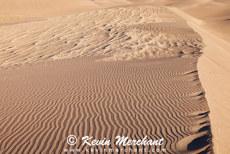NP_041824_R5-104-FOCUS.jpg