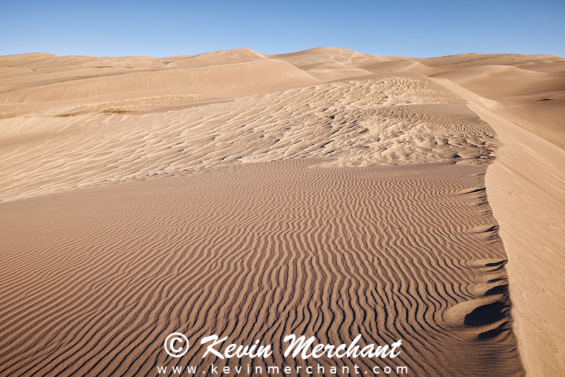 NP_041824_R5-107-FOCUS.jpg