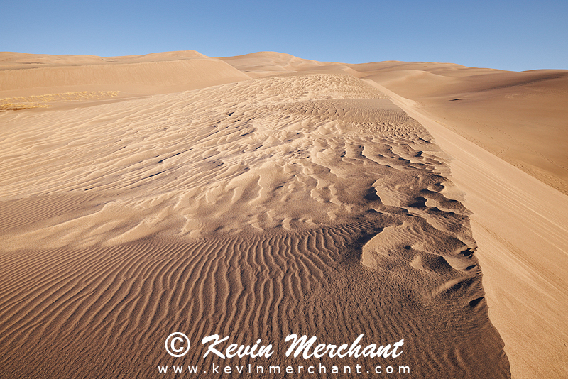 NP_041824_R5-111-FOCUS.jpg