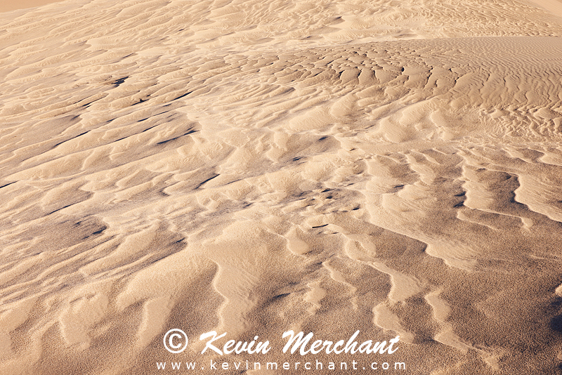 NP_041824_R5-131-FOCUS.jpg