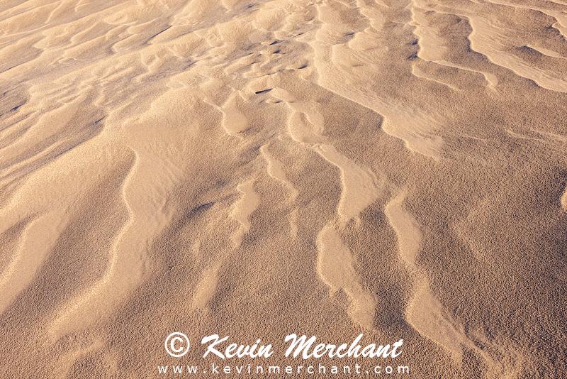NP_041824_R5-150-FOCUS.jpg