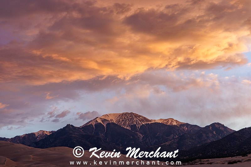 NP_041924_R5-5.jpg