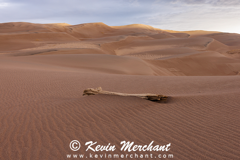 NP_041924_R5-88-FOCUS.jpg