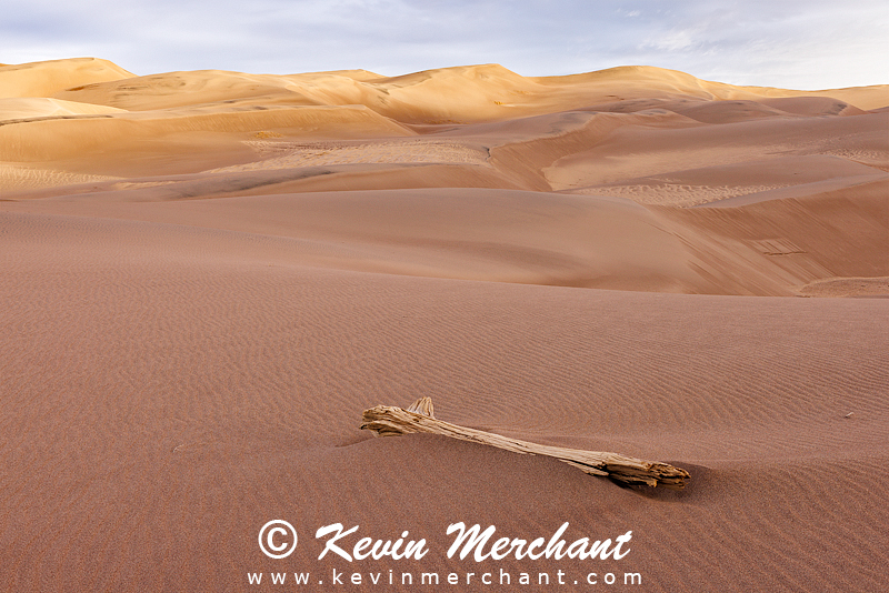 NP_041924_R5-112-FOCUS.jpg