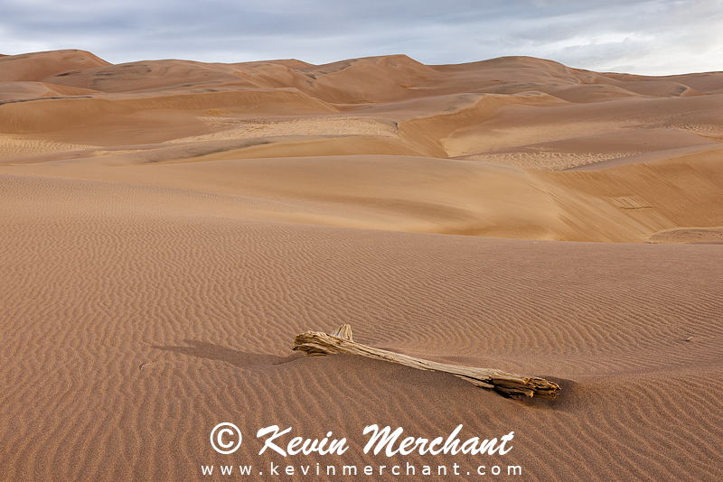 NP_041924_R5-142-FOCUS.jpg