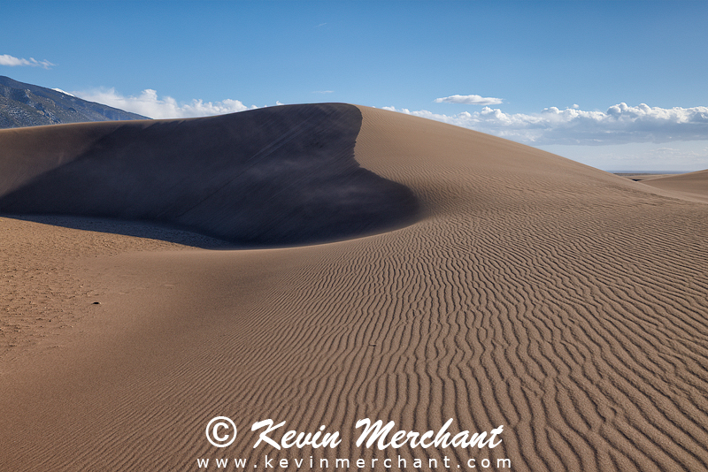 NP_041624_R5-1.jpg