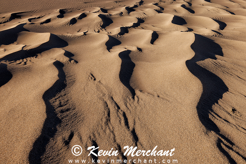 NP_041624_R5-30-FOCUS.jpg