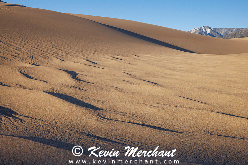 NP_041624_R5-69-FOCUS.jpg