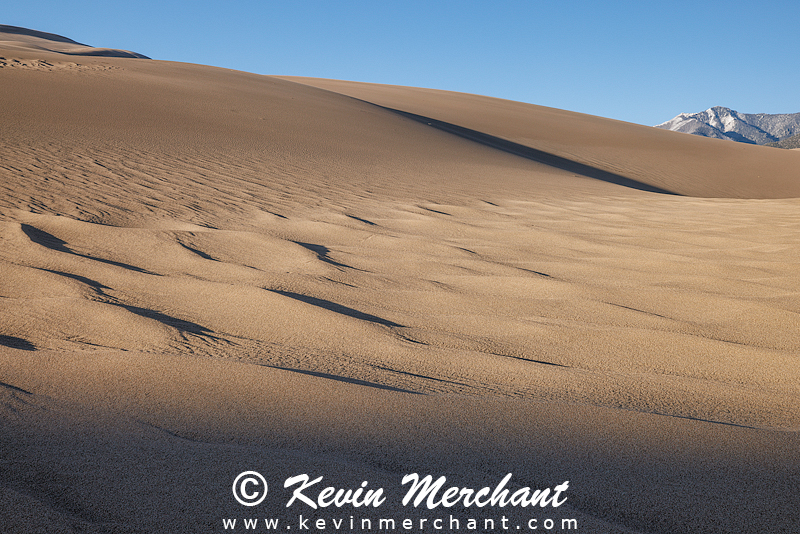 NP_041624_R5-65-FOCUS.jpg