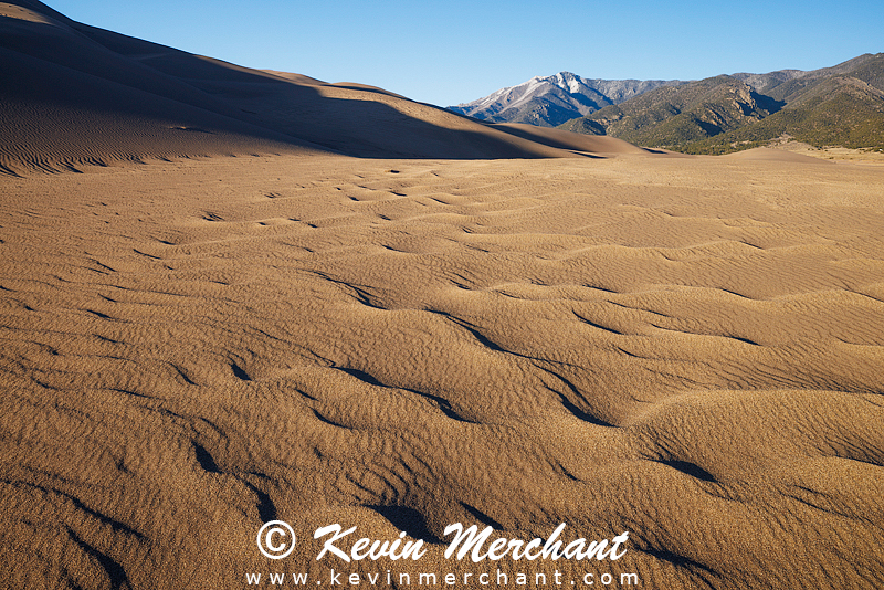 NP_041624_R5-73-FOCUS.jpg
