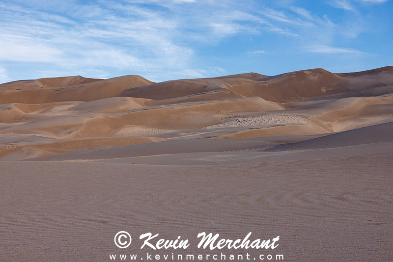 NP_041724_R5-23-FOCUS.jpg