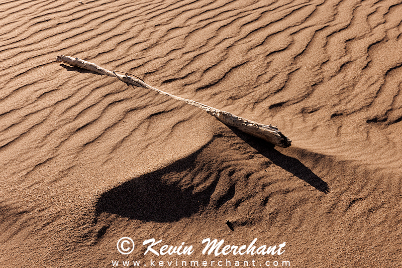 NP_041724_R5-50-FOCUS.jpg