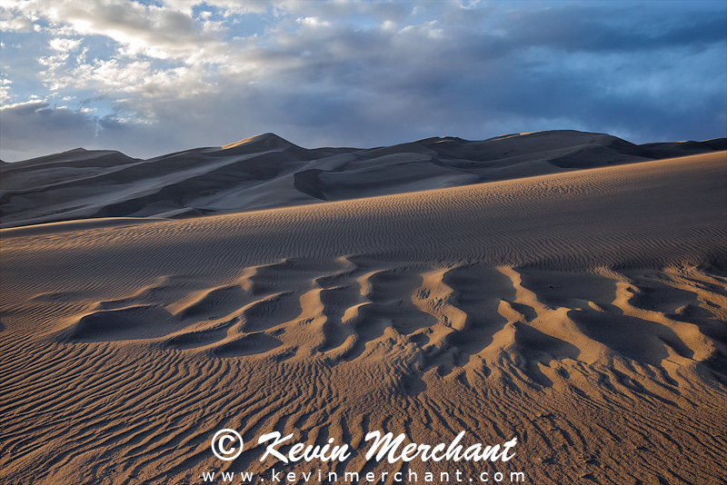 NP_041724_R5-75.jpg