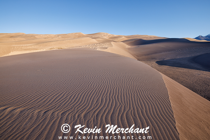 NP_041824_R5-16-FOCUS.jpg