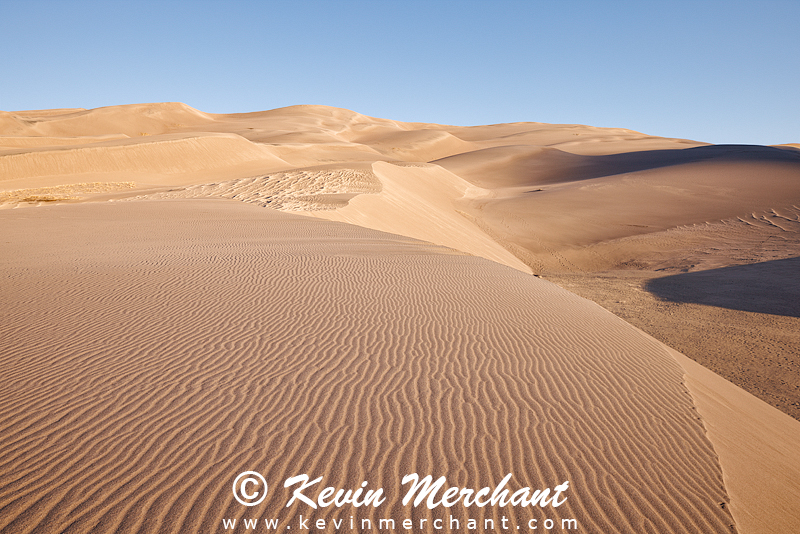 NP_041824_R5-20-FOCUS.jpg