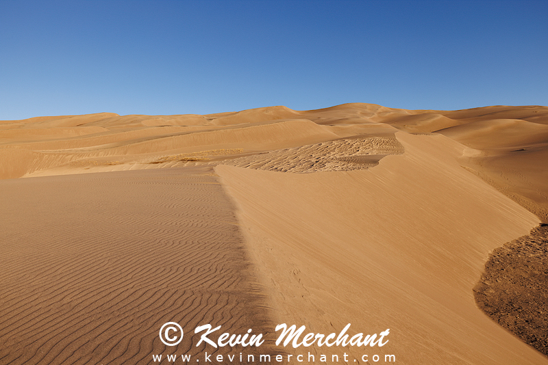 NP_041824_R5-48.jpg